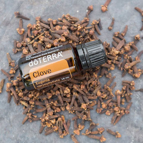 doTERRA Clove Oil