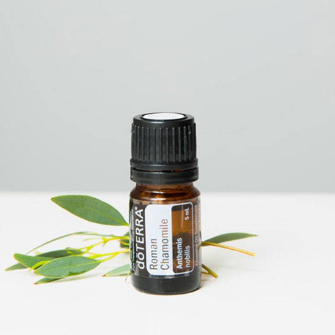 Roman Chamomile Oil