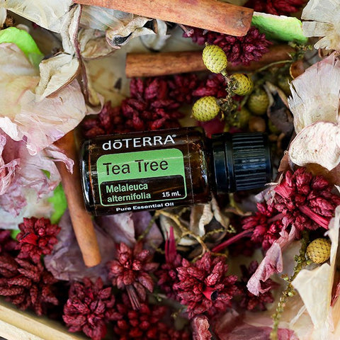 doTERRA Tea Tree Oil